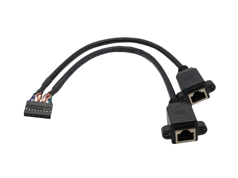 PHD2.0 2×9 Pin 轉 2x RJ45 8P8C 接口 線材